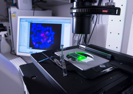 Electronic microscope